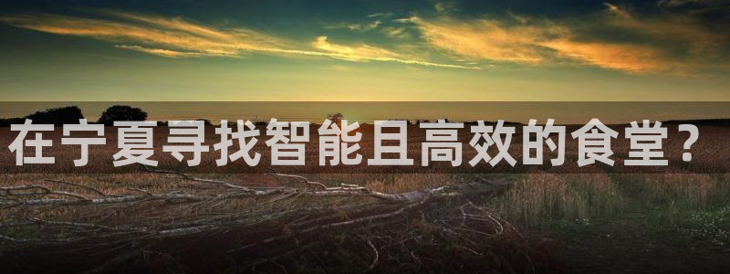 凯时官网手机版下载：在宁夏寻找智能且高效的食堂？